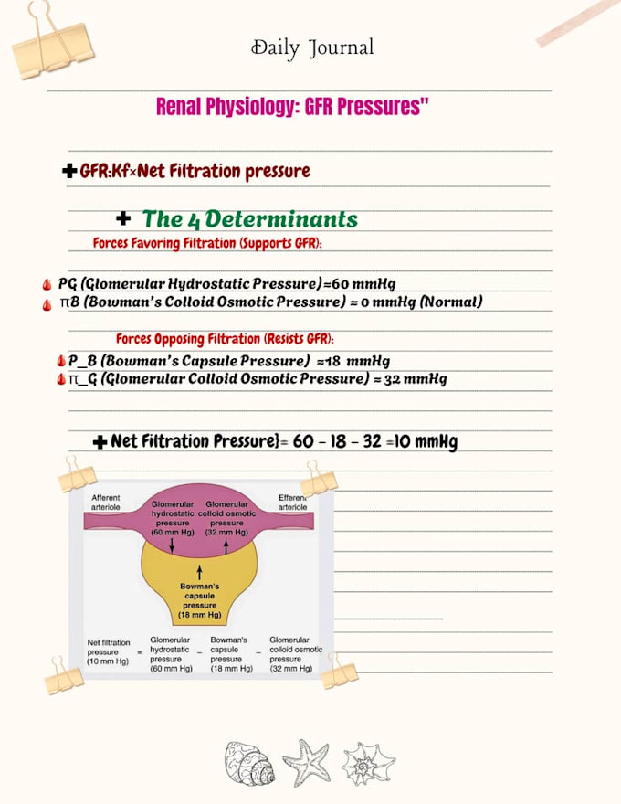 create medical study notes, infographics and visual guides