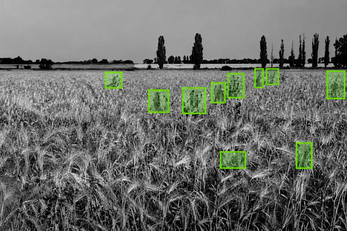 annotate images with bounding boxes and do data labeling