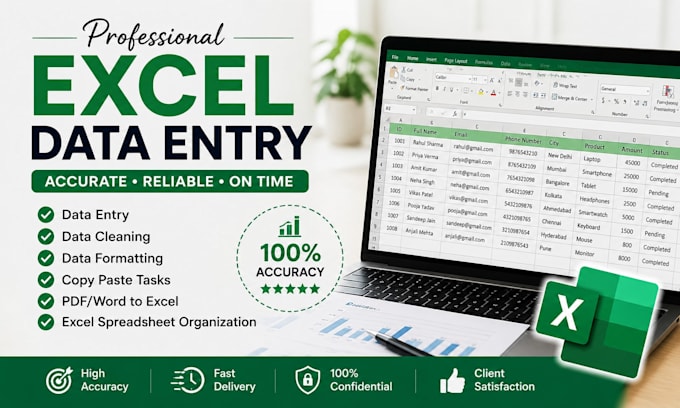 do professional microsoft excel data entry