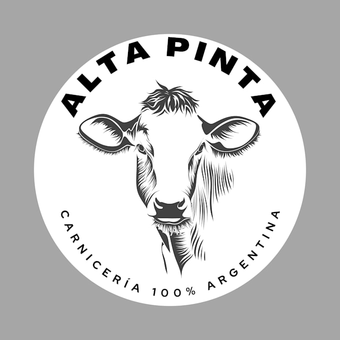design a professional logo or visual identity