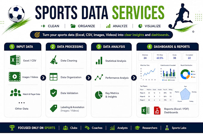 do sports ai data annotation, data cleaning, analysis and dashboard