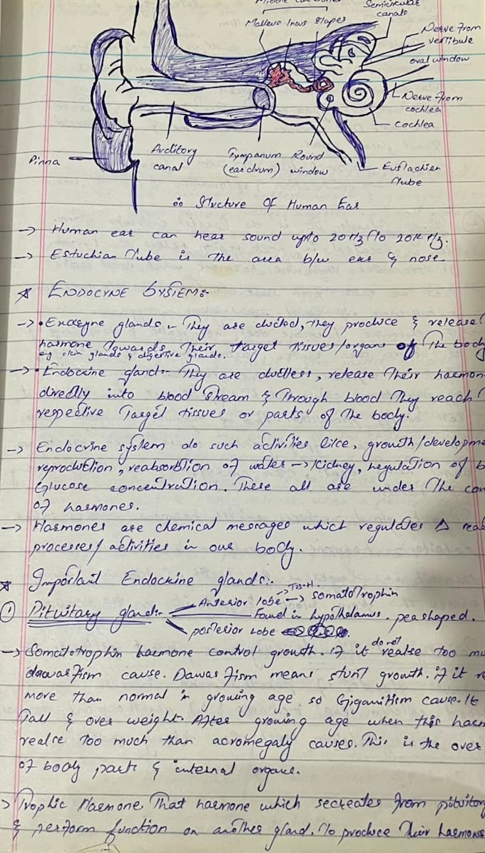 do hand written assignments