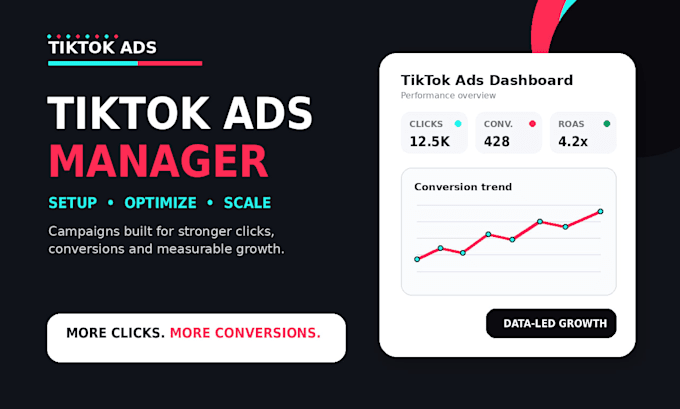 set up and manage tiktok ads campaigns