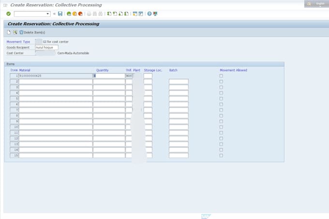 be your sap end user expert for pm and mm data entry tasks
