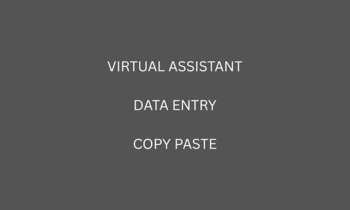 do professional data entry and virtual assistant tasks