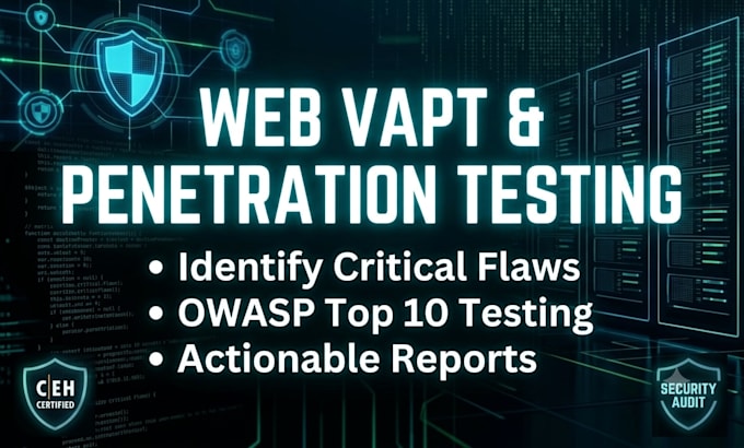 do web application vulnerability assessment and pentest