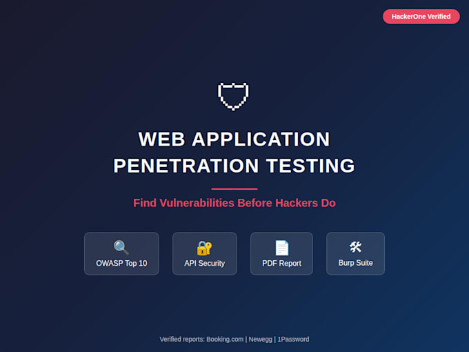do web application penetration testing and security audit