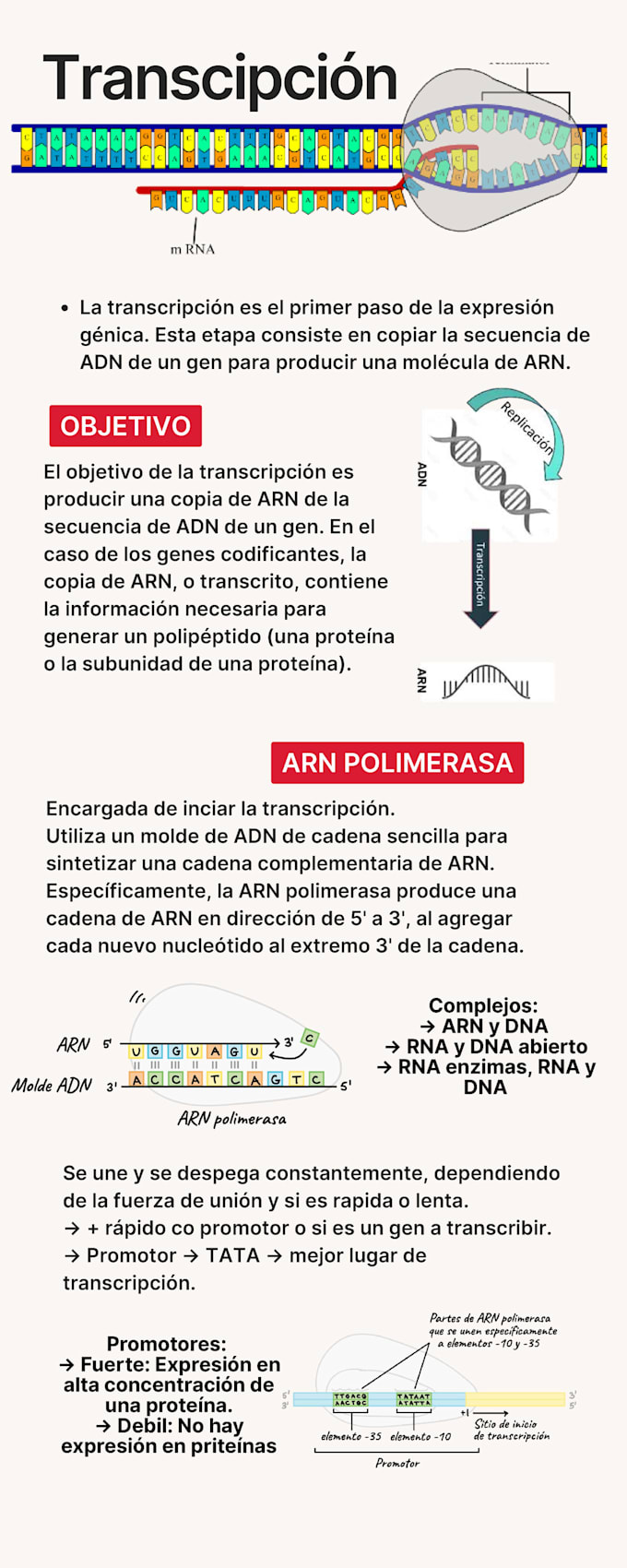 transcripciones de textos y audios