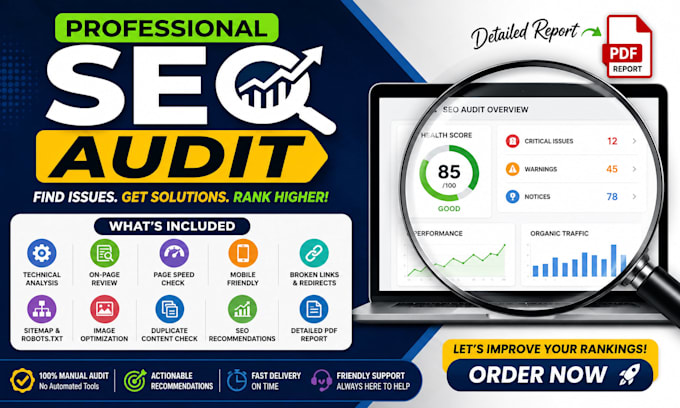 do professional SEO audit