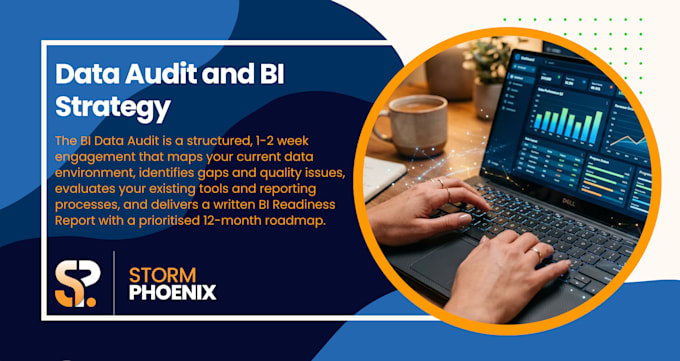 audit your data and deliver a bi readiness report