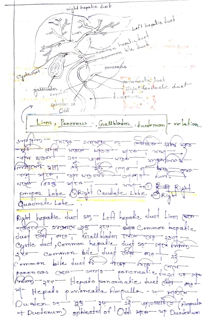 do  realistic handwritting, letter, script,assignments