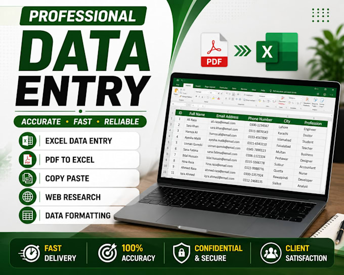 professional data entry and excel services