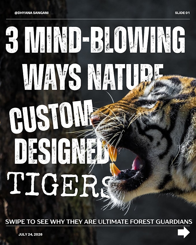 be canva designer, virtual assistant