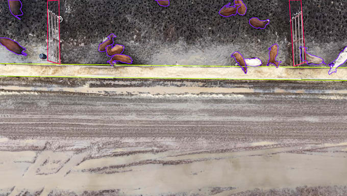 label your images with bounding box and polygon annotation