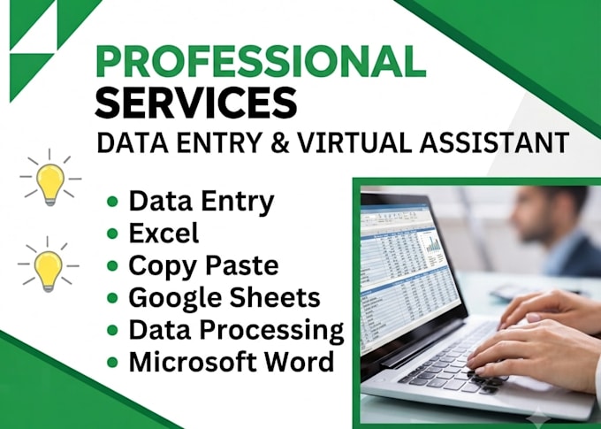do professional data entry excel and copy paste tasks