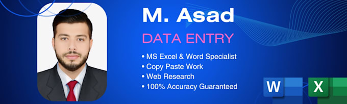 do expert data entry, copy paste and excel data entry work