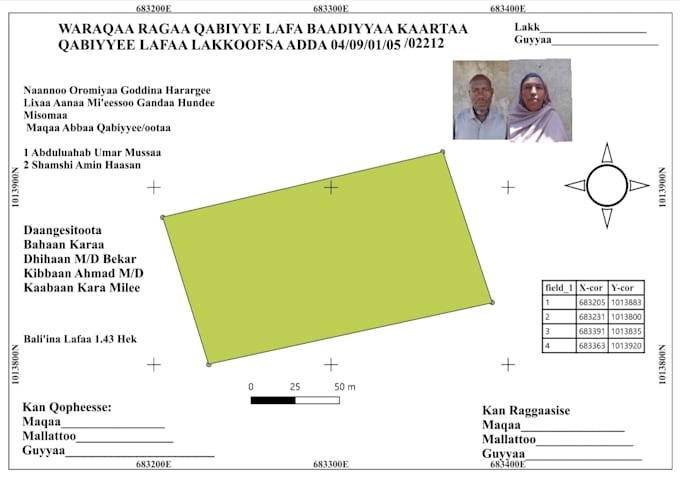 do professional gis mapping and qgis data analysis