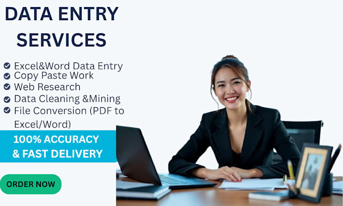 provide professional data entry and excel service
