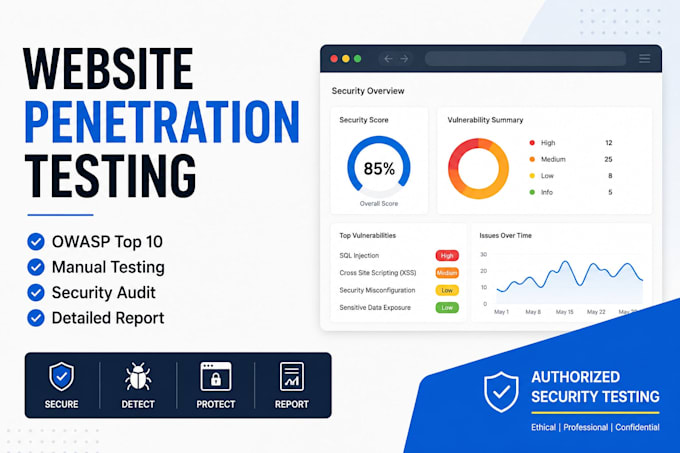 perform website and web app penetration testing