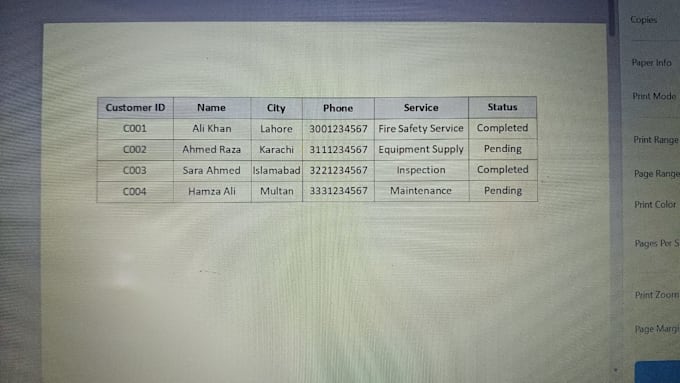 professional data entry and excel services