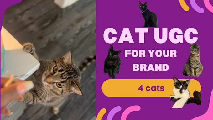 create pet ugc videos for your pet brand or product