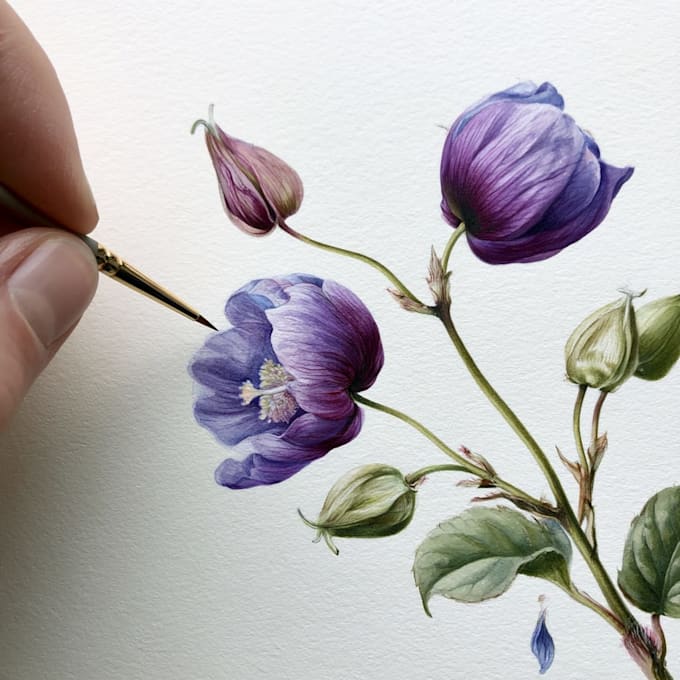 draw a botanical illustration