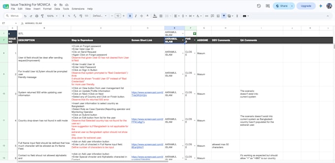 perform manual and automated software testing