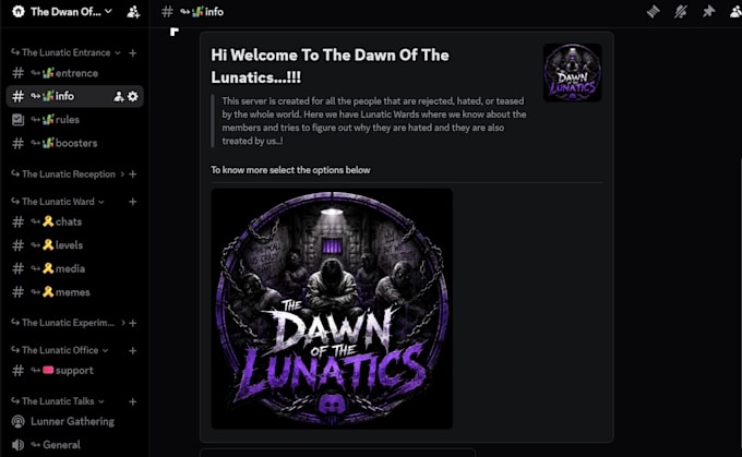 create a professional discord server with channels roles bots and permissions
