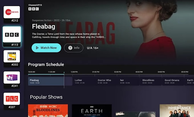 build custom iptv app, video streaming app, smart TV app, android TV app, rokutv