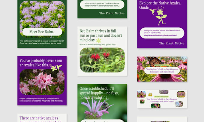 design premium instagram posts