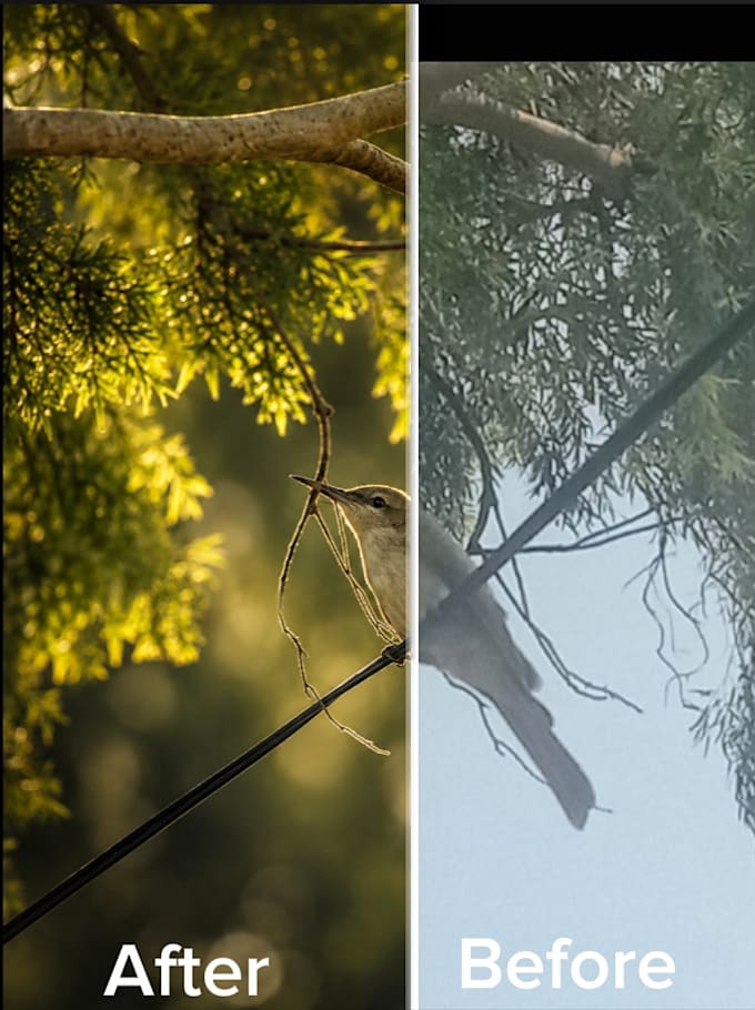 enhance, restore, and sharpen your any low quality images