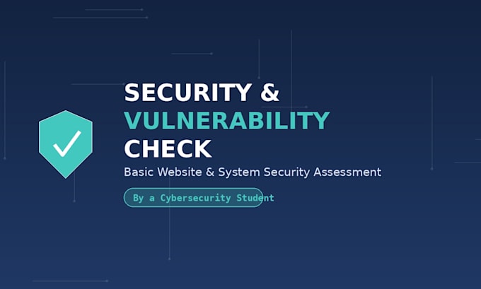 perform a basic website or system security and vulnerability check