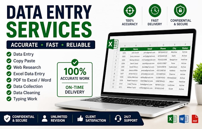 do accurate data entry, web research, copy paste and excel do professional data