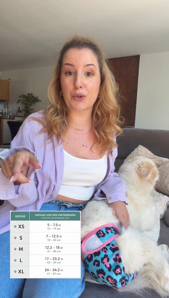create high converting german ugc pet content for meta ads