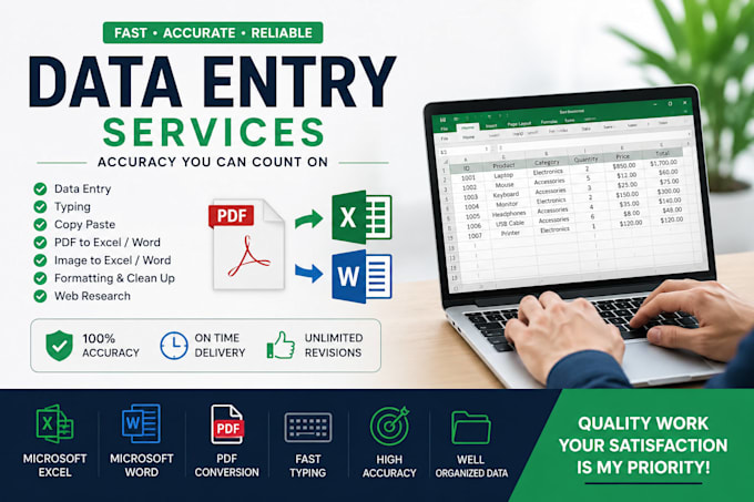 do accurate data entry, microsoft excel, word, and PDF conversion
