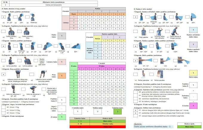 perform occupational risk assessment consulting