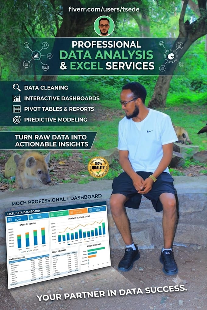 do data analysis, excel report, and pivot tables