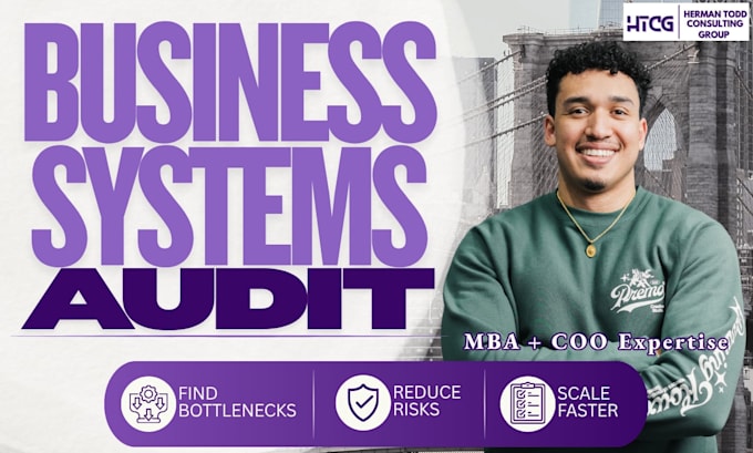conduct a business systems audit