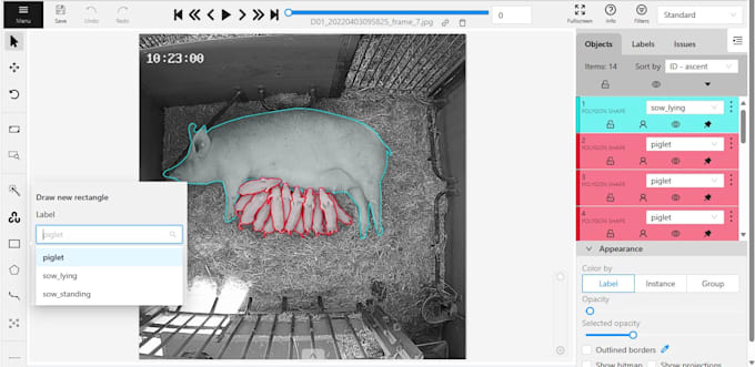 provide high quality and accurate data annotation services for your model