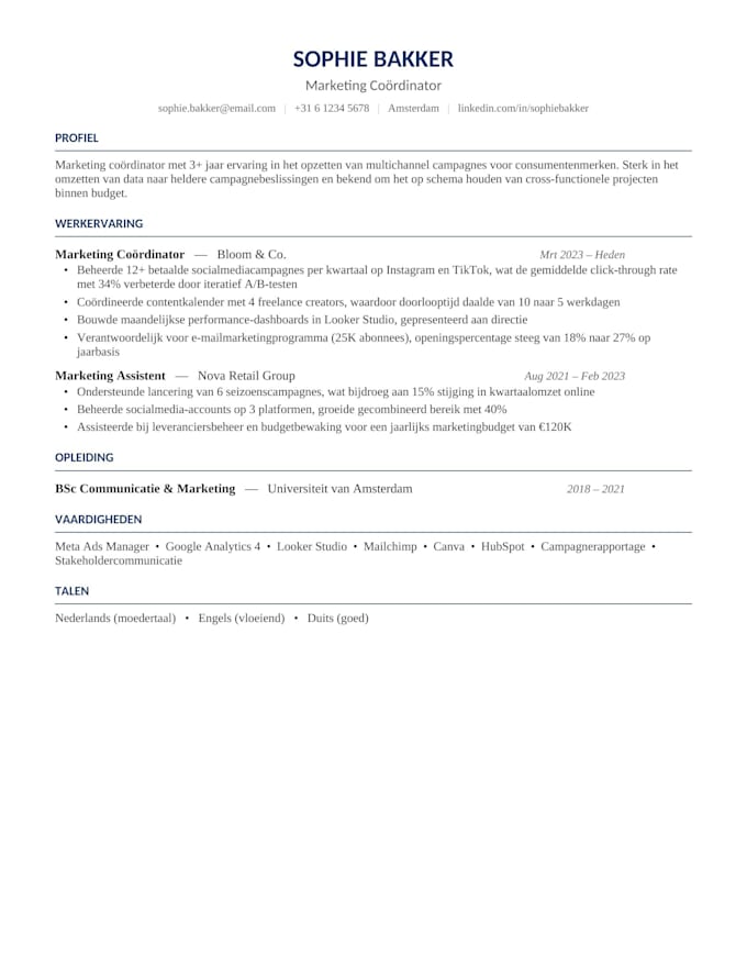 write a professional CV and optimize your linkedin profile