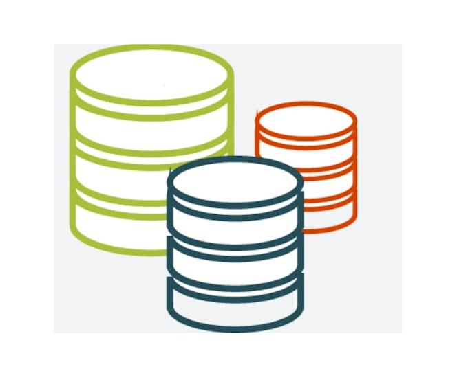perform digital forensics and data auditing for complex litigation