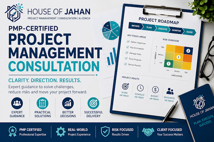 provide expert pmp project management consultation