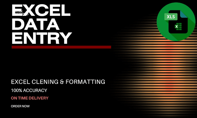 excel data entry and formatting