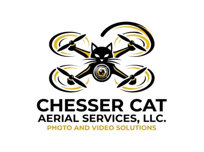 create a unique drone logo design