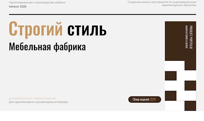 design a professional pitch deck or business presentation