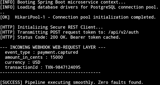 write custom java and connect enterprise api integrations