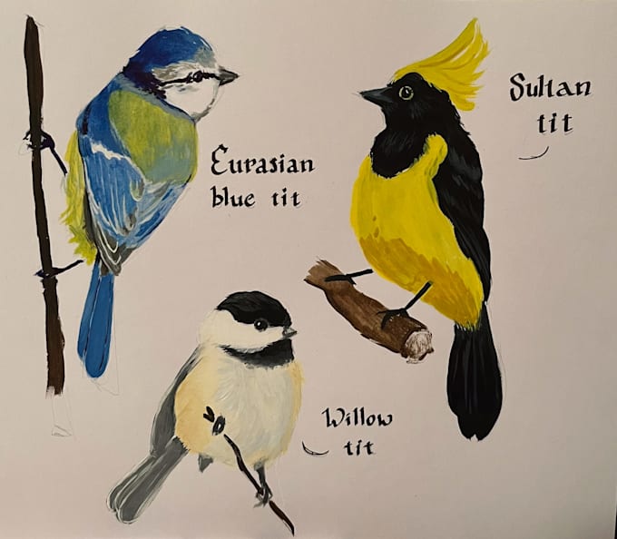 draw traditional bird illustration