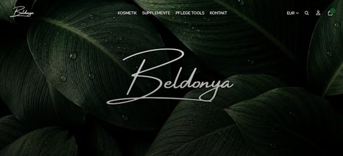 design a professional shopify website