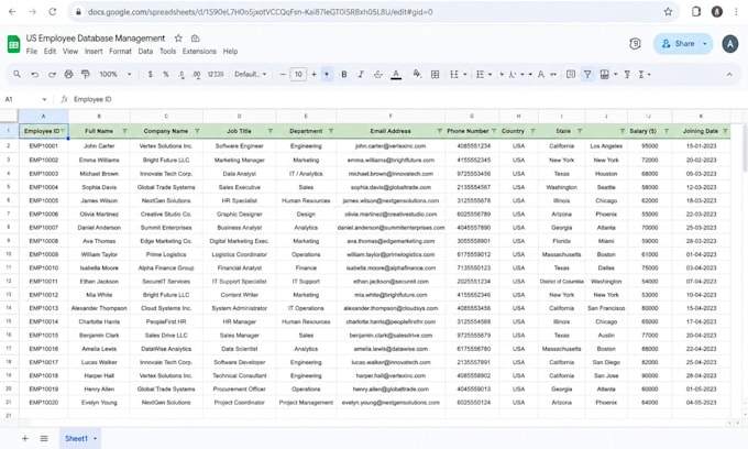 accurate data entry and ms office tasks with fast typing