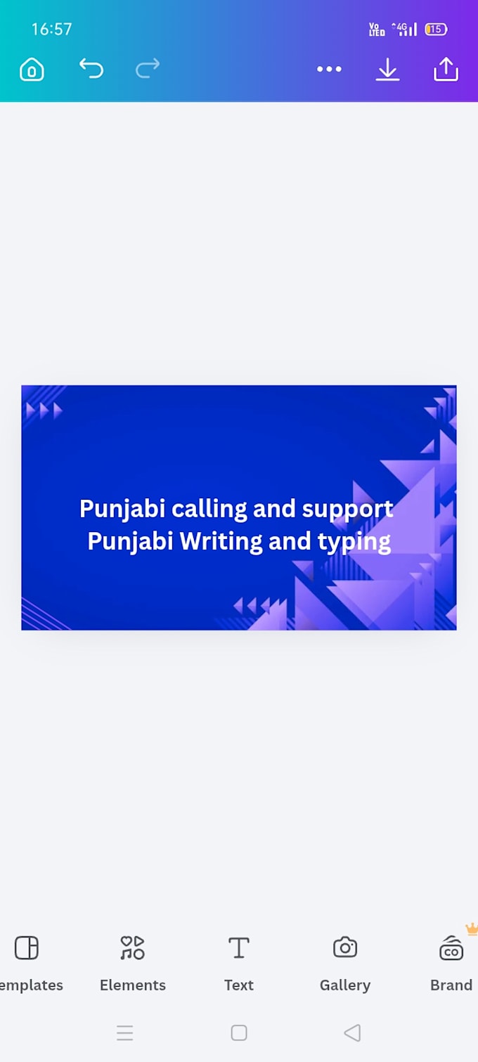 professional punjabi calling and customer support